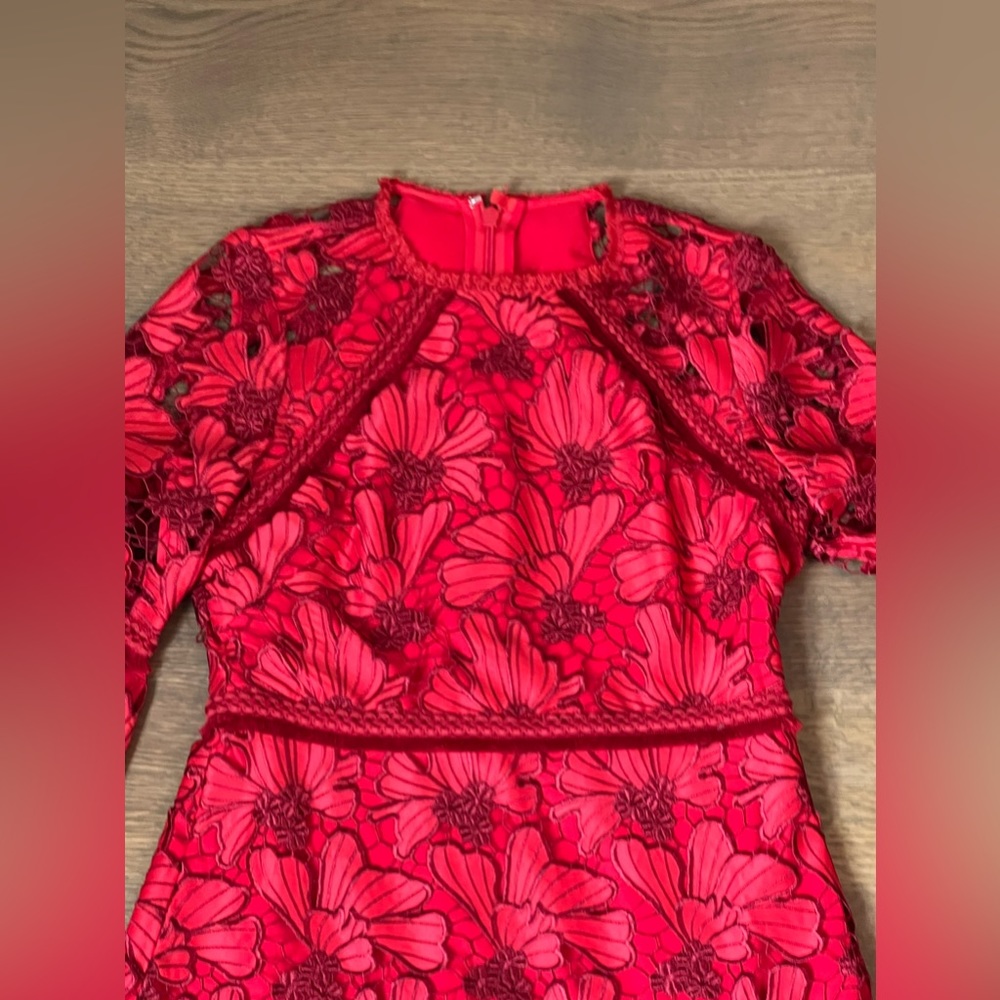 ALEXIS Fransisca Floral Lace Blouson-Sleeve Dress - Picture 2 of 4